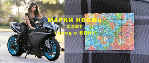 PSILOCYBIN Корсаков