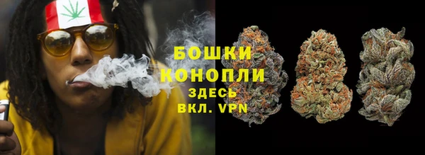 ПСИЛОЦИБИНОВЫЕ ГРИБЫ Коряжма
