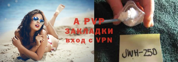 ПСИЛОЦИБИНОВЫЕ ГРИБЫ Коряжма