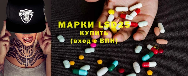 PSILOCYBIN Корсаков