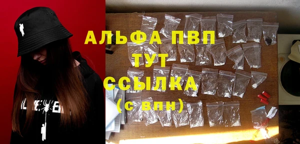 ПСИЛОЦИБИНОВЫЕ ГРИБЫ Коряжма