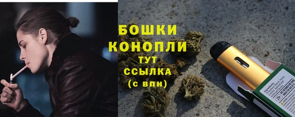 PSILOCYBIN Корсаков
