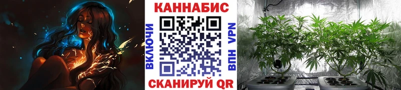 Шишки марихуана OG Kush  Шарья 